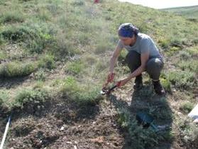 Application- -cut-disturbance